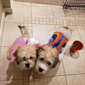 Meet your Posher, Debbie